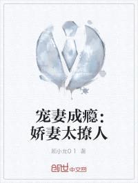 宠妻成瘾:娇妻太撩人