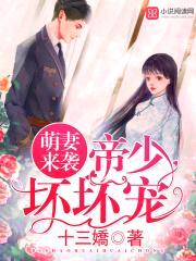 萌妻来袭:军帅,坏坏宠!