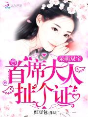 呆萌双宝:首席大人,扯个证