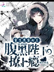 重生黑客女王：腹黑陛下，撩上瘾