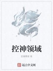 控神领域