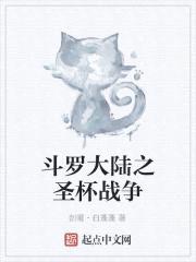 斗罗大陆之圣杯战争
