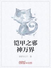 铠甲之邪神万界