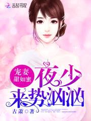 宠妻甜如蜜:夜少,来势汹汹