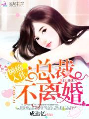 替身新娘:总裁,离婚吧