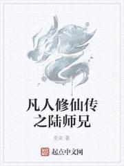 凡人修仙传之陆师兄