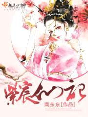 紫宸仙记