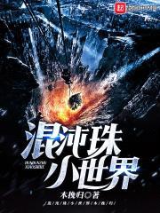 混沌珠小世界