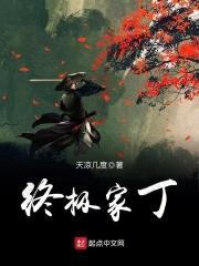 终极家丁