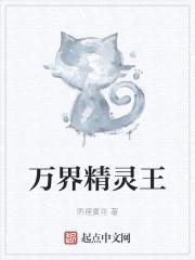 万界精灵王