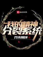 我的精神分裂系统