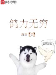 鸽力无穷