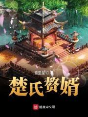 楚氏赘婿