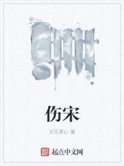 伤宋
