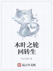木叶之轮回转生