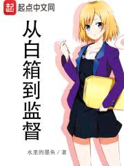 从白箱到监督