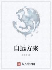 自远方来