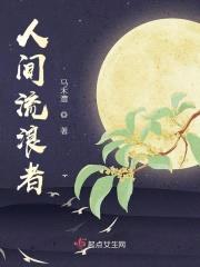 人间流浪者