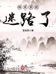 我家系统迷路了