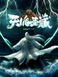天循圣藏