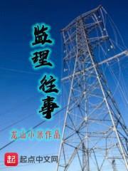 监理往事