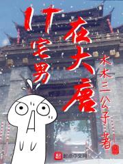 IT宅男在大唐