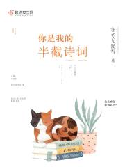 你是我的半截诗词