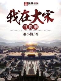 我在大宋当提刑