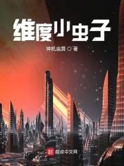 维度小虫子