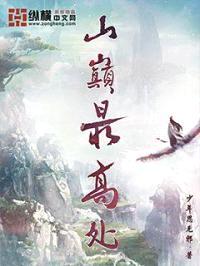 山巅最高处