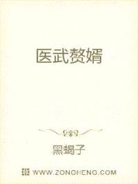 医武赘婿