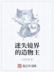 迷失镜界的造物主