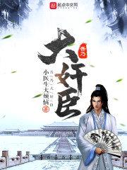 吾乃大jian臣
