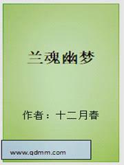 兰魂幽梦