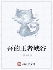 吾的王者峡谷