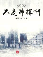 我真不是神探啊