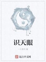 识天眼