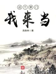这个掌门我来当