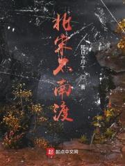 北宋不南渡