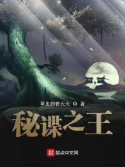 秘谍之王