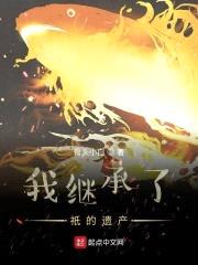 我继承了祇的遗产