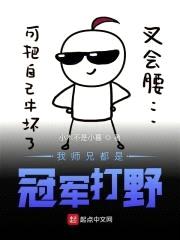 我师兄都是冠军打野