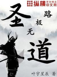 圣道无极路
