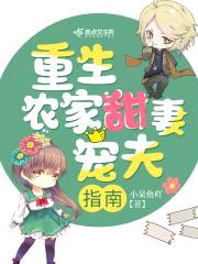 重生农家甜妻宠夫指南