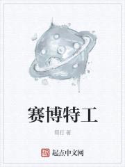 赛博特工