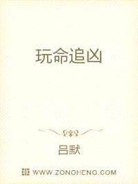 玩命追凶