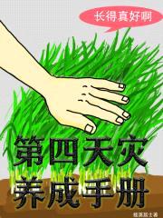 第四天灾养成手册