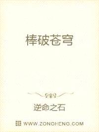 棒破苍穹