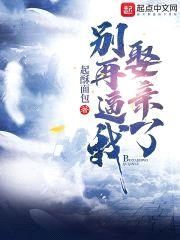 别再逼我娶亲了