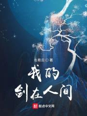 剑道圣路
